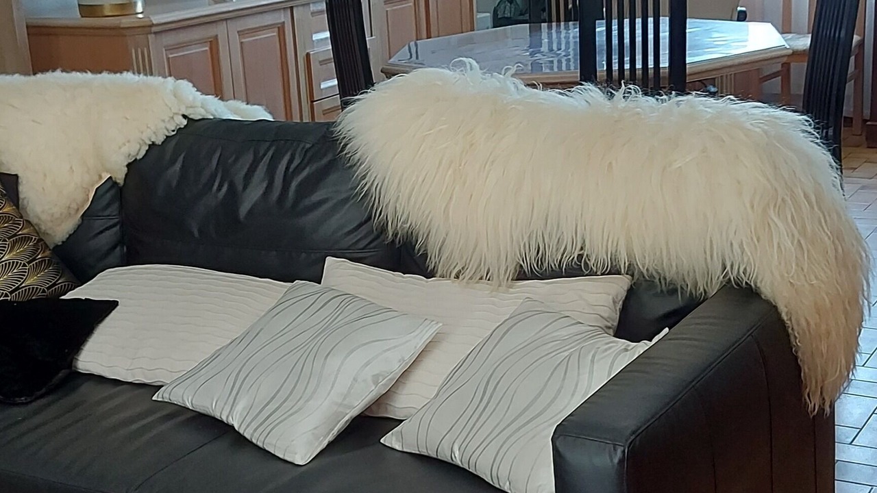 Photo of Livingroom in Restinclieres