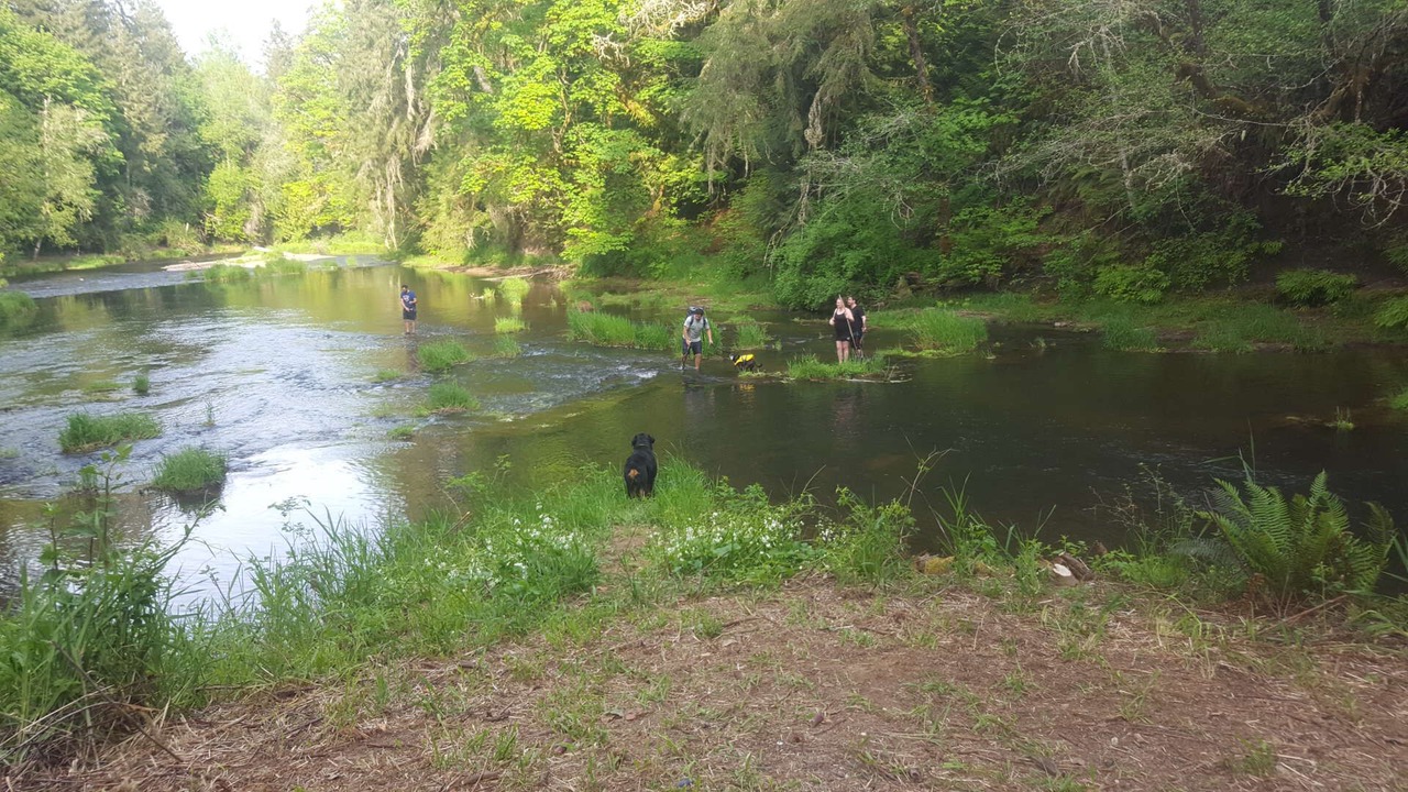 Photo of Others in Ryderwood