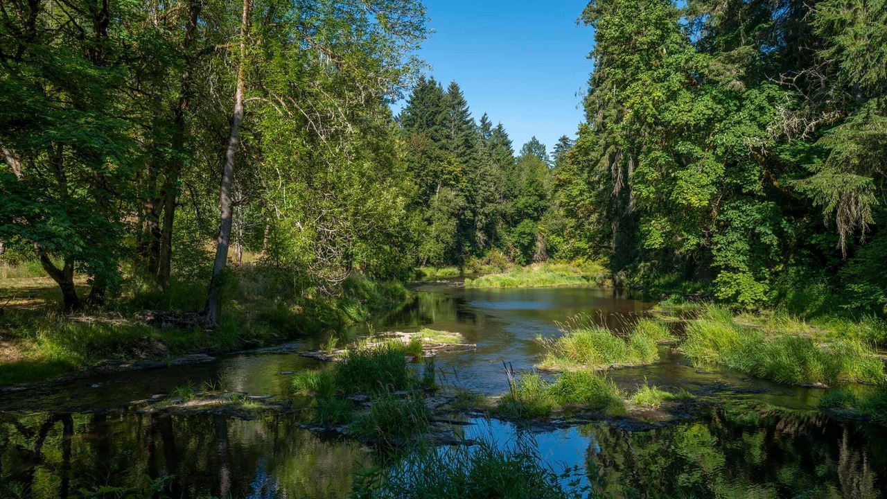 Photo of Others in Ryderwood