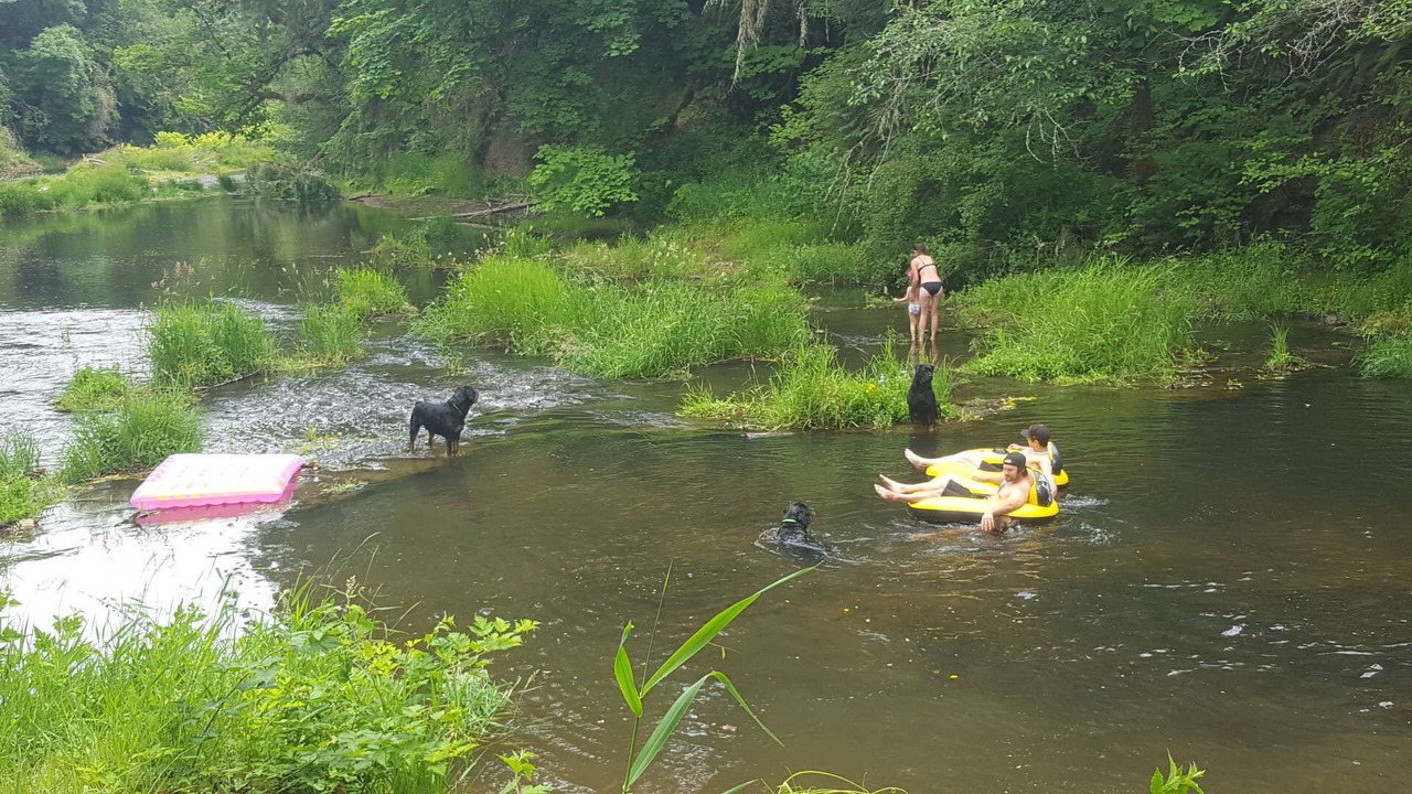 Photo of Others in Ryderwood