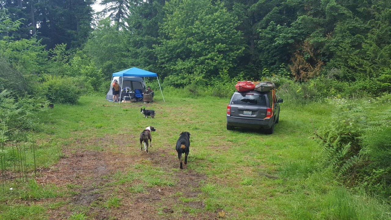 Photo of Others in Ryderwood