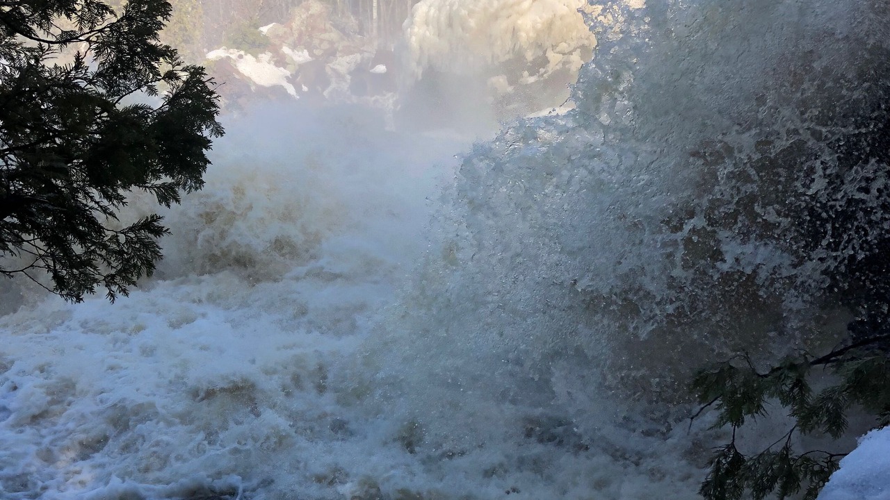 Photo of Others in Wakefield