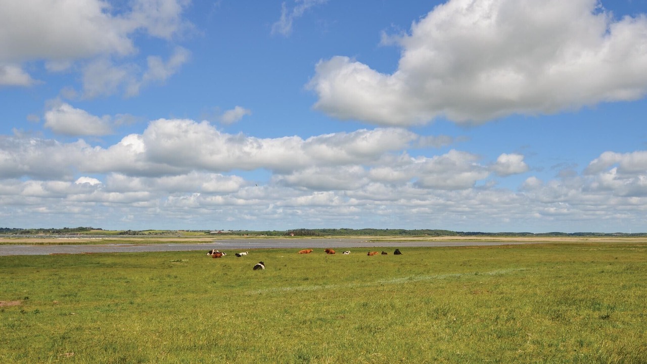 Photo of Others in Spøttrup