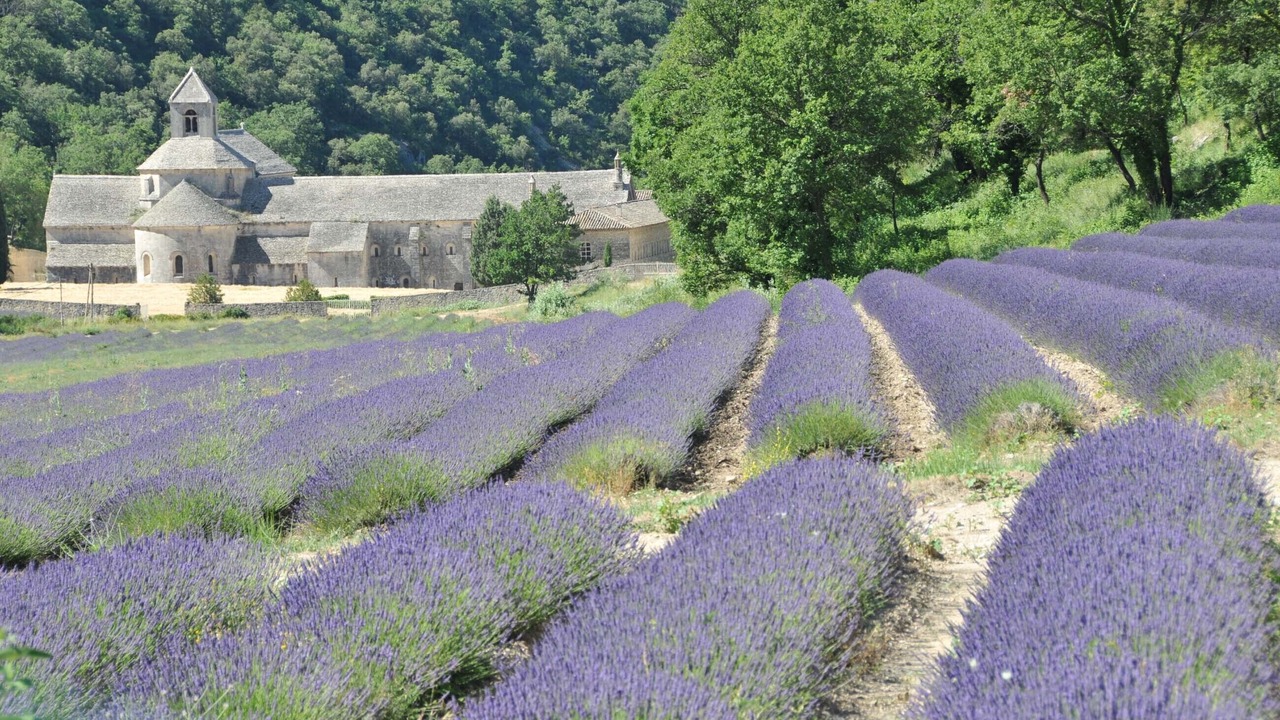 Photo of Outdoor in Saint-Didier