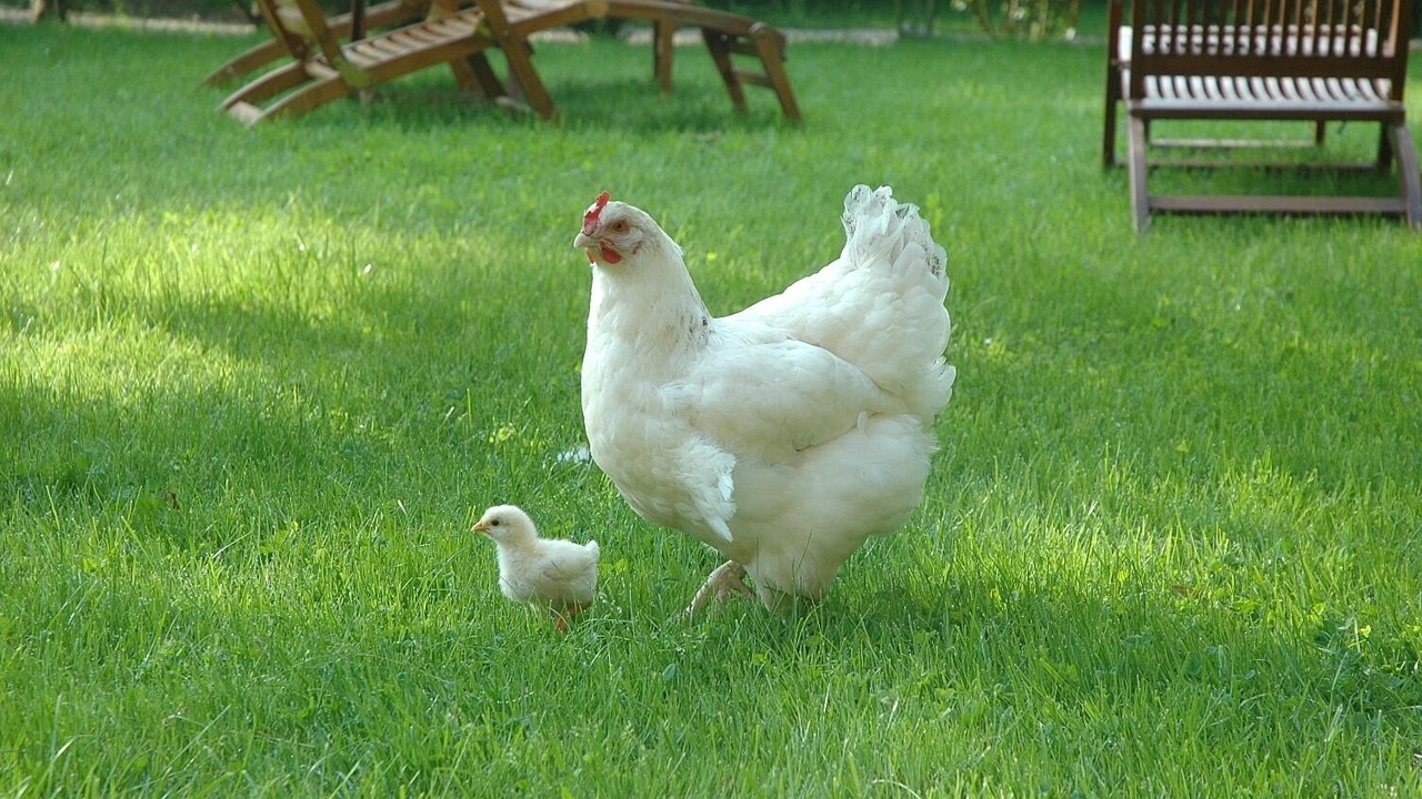 Photo of Outdoor in Happonvilliers