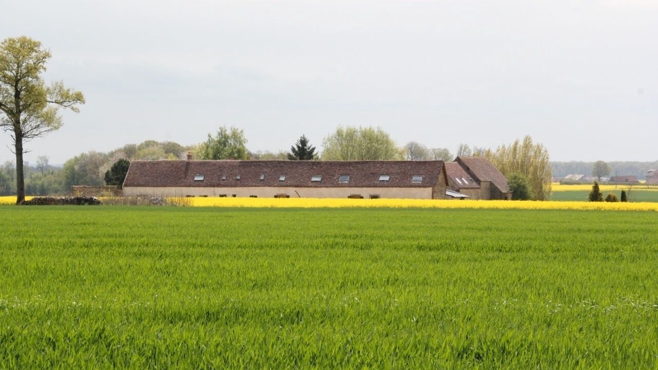 Photo of Others in Happonvilliers