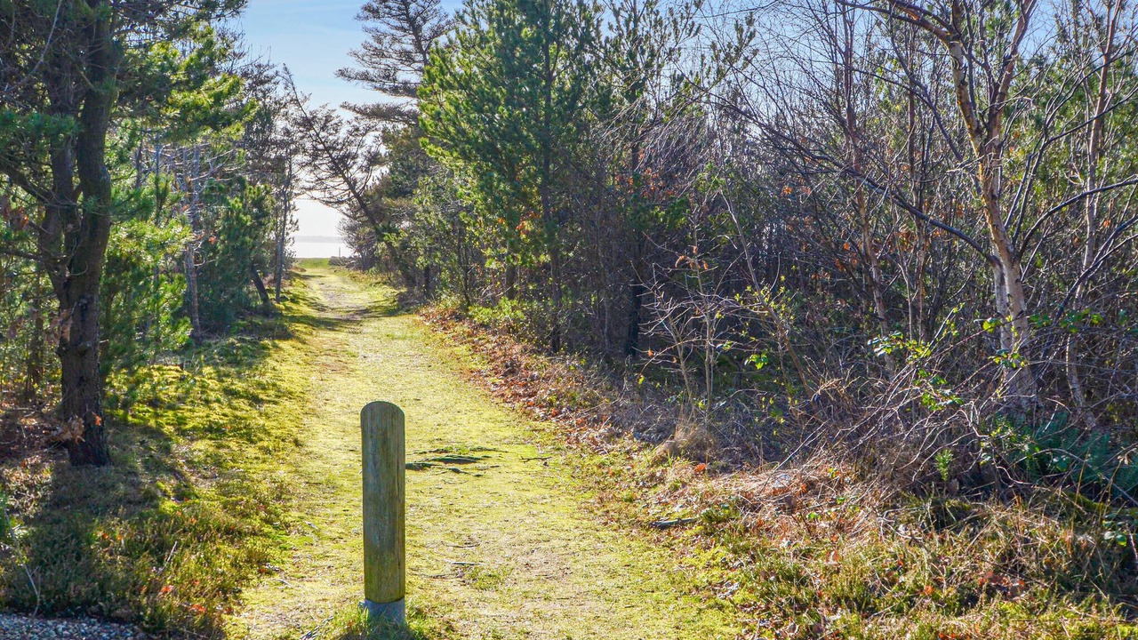 Photo of Others in Hurup Thy