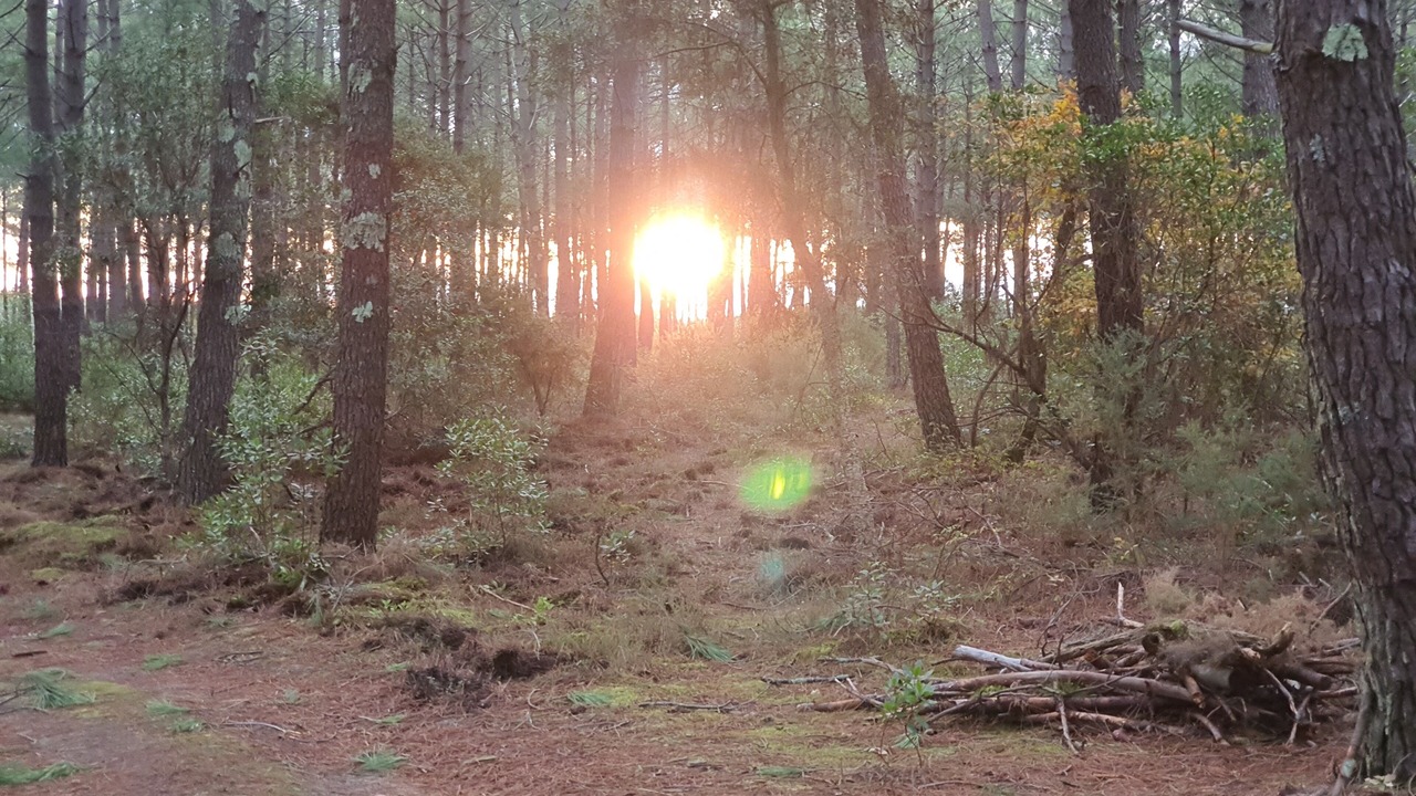 Photo of Outdoor in Lit-et-Mixe