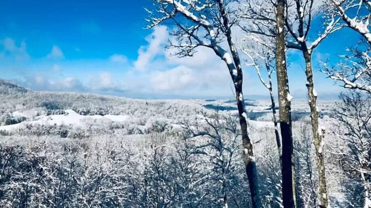 Photo of Others in Morganton
