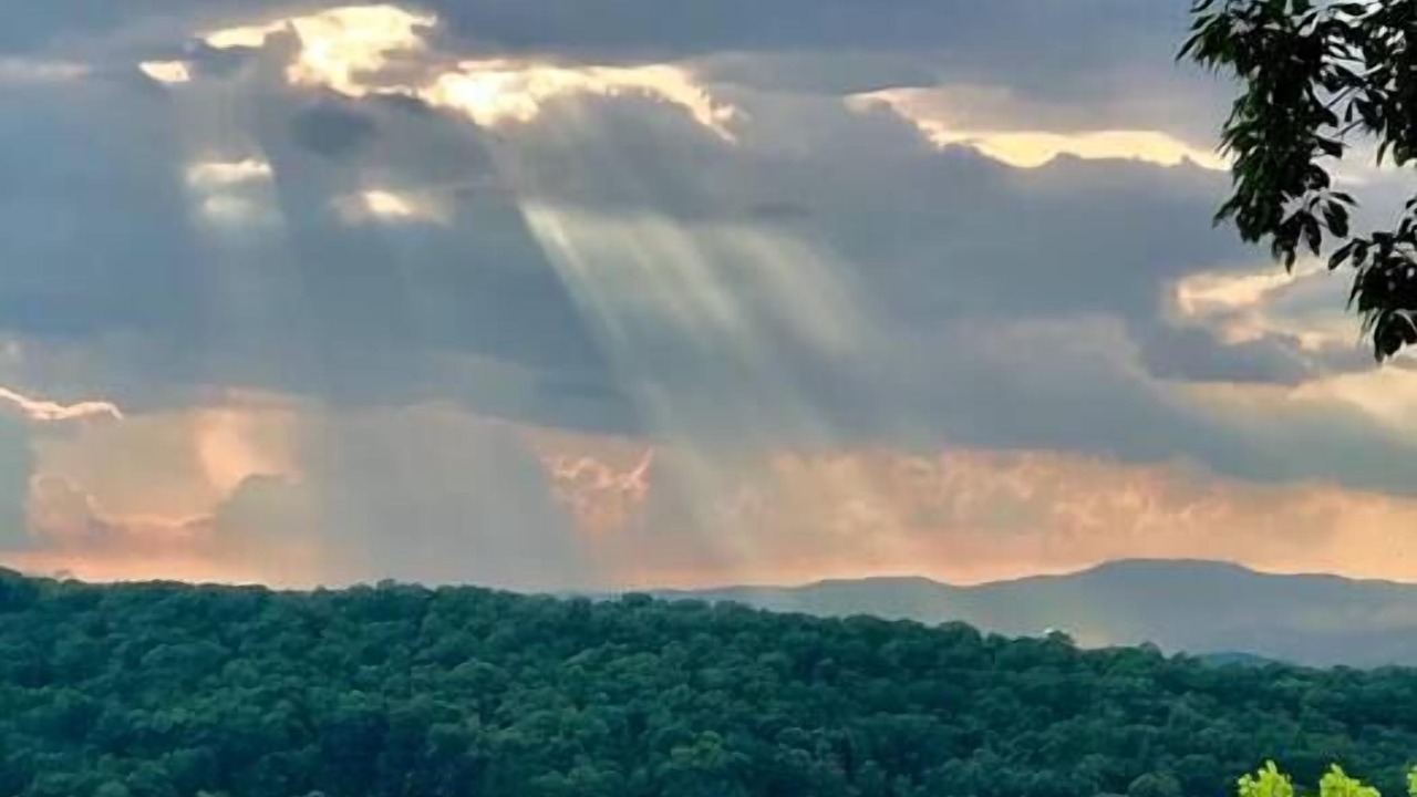 Photo of Others in Morganton