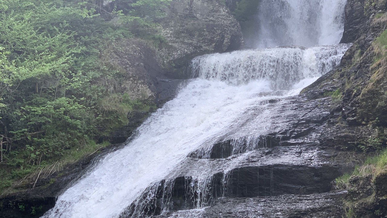 Photo of Outdoor in Bushkill