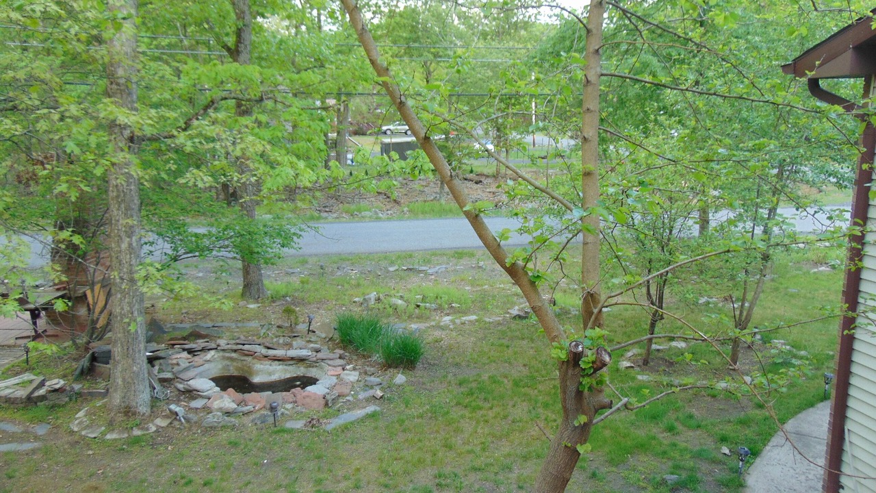 Photo of Outdoor in Bushkill