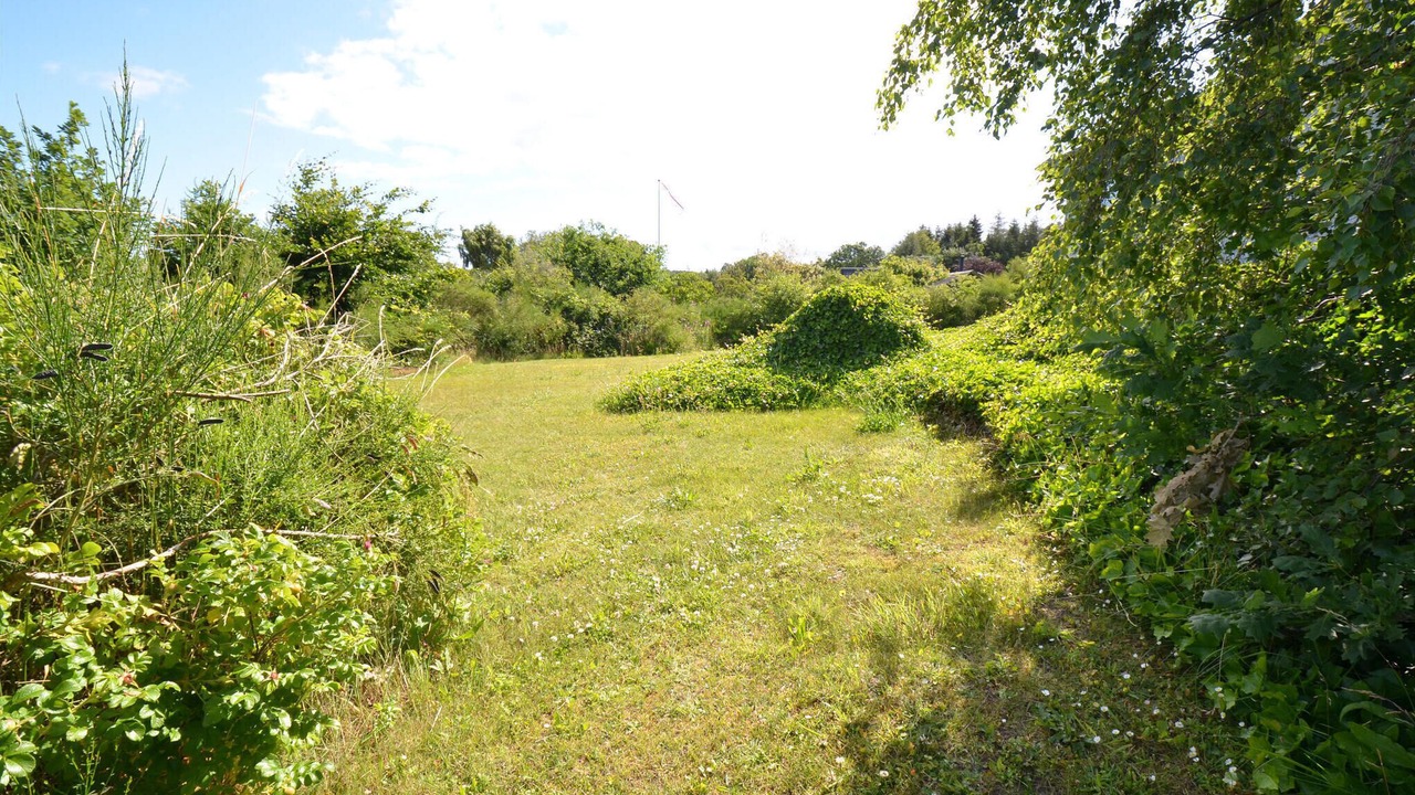 Photo of Others in Allingabro