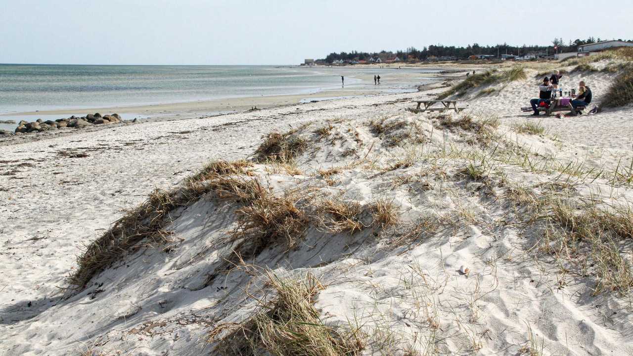 Photo of Others in Allingabro