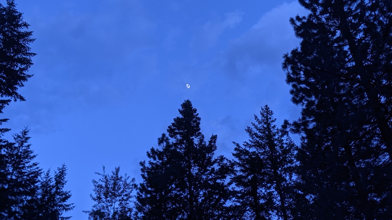 Photo of Others in Mazama