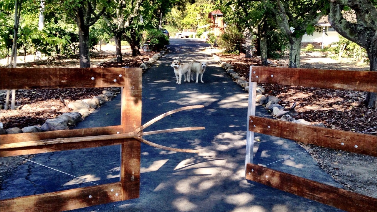 Photo of Others in Oak Knoll