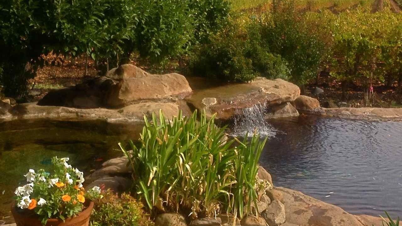 Photo of Outdoor in Oak Knoll