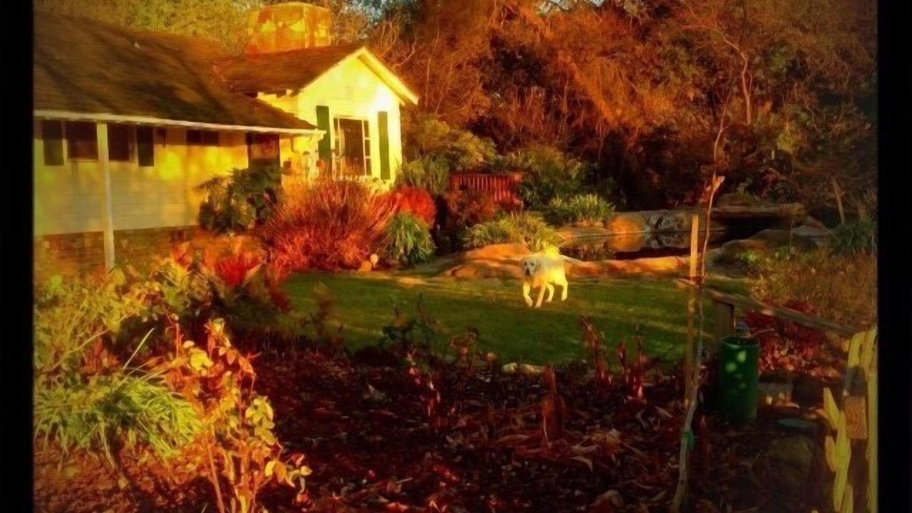 Photo of Others in Oak Knoll