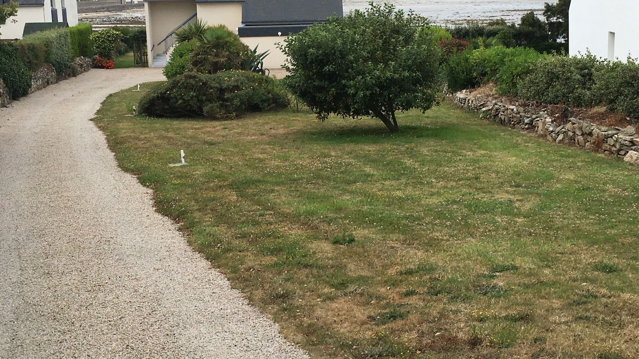 Photo of Outdoor in Roscoff