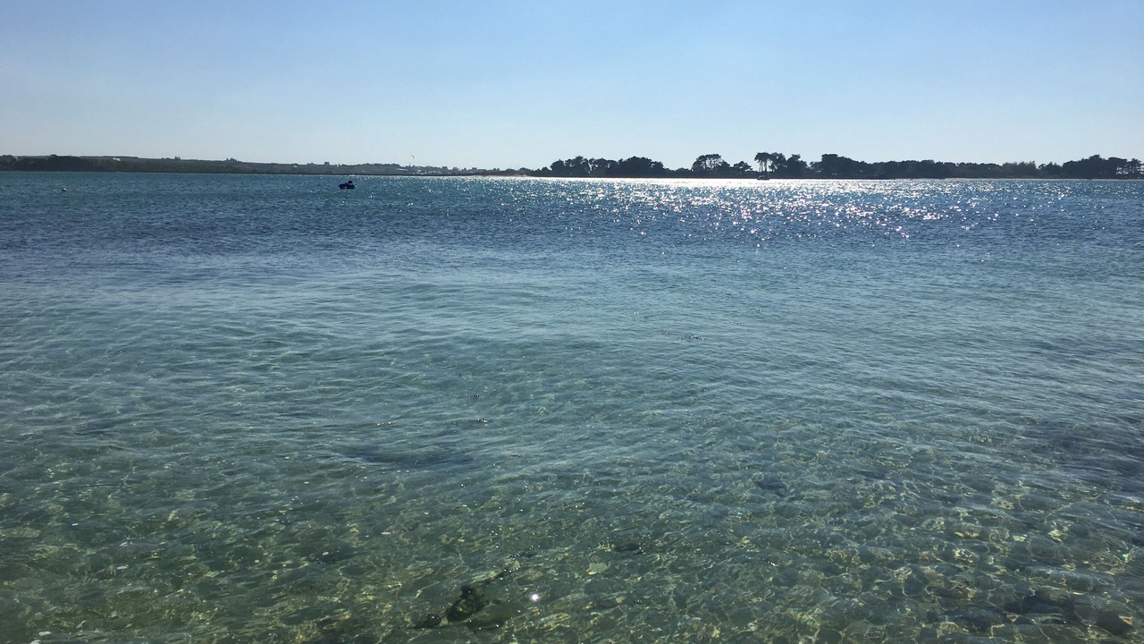 Photo of Others in Roscoff