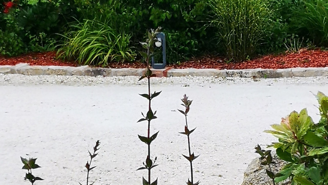 Photo of Outdoor in Ouzouer-sur-Trezee