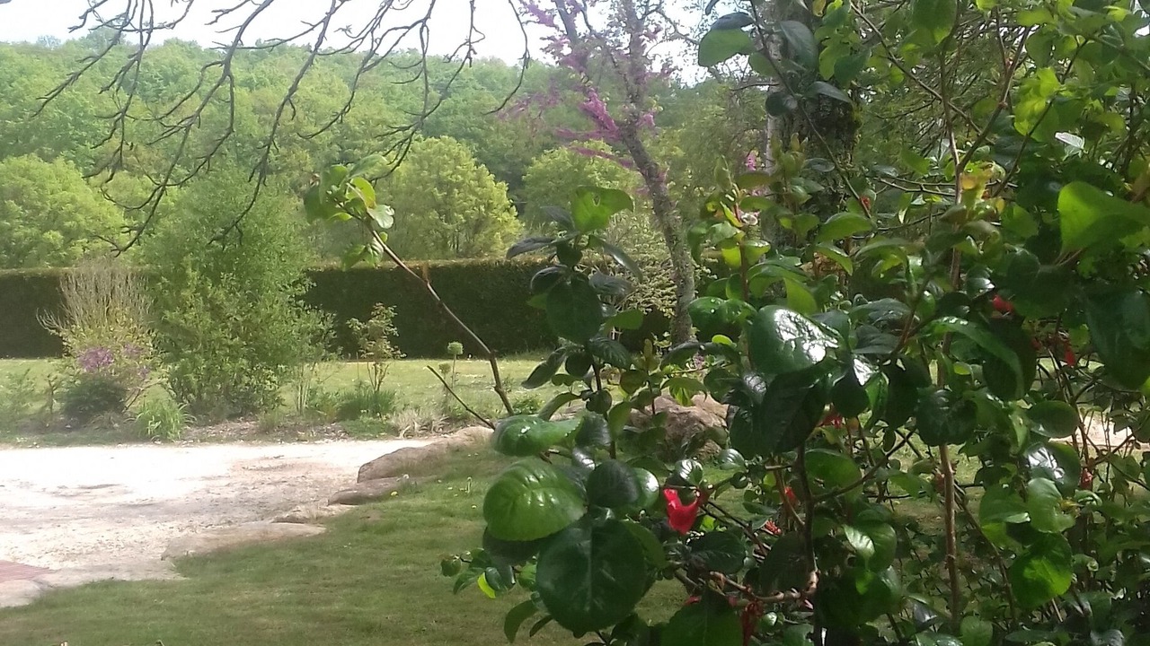 Photo of Outdoor in Ouzouer-sur-Trezee