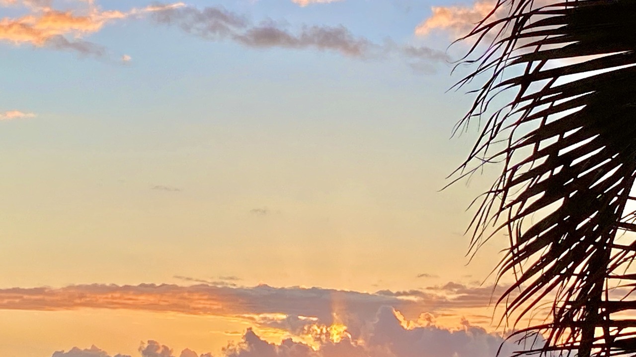 Photo of Others in Bluffs