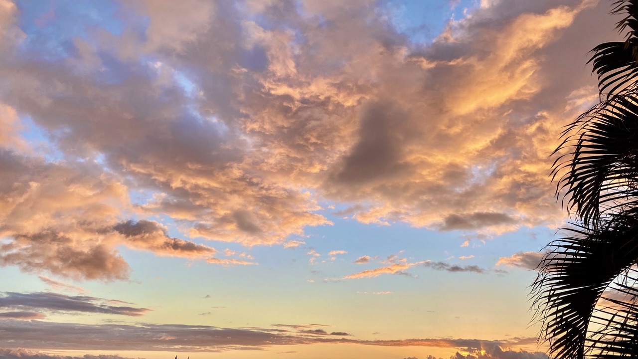 Photo of Others in Bluffs