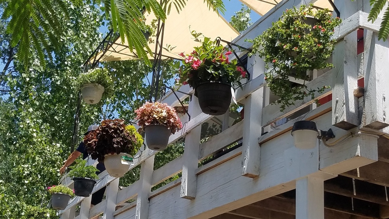 Photo of Outdoor in Squaw Valley