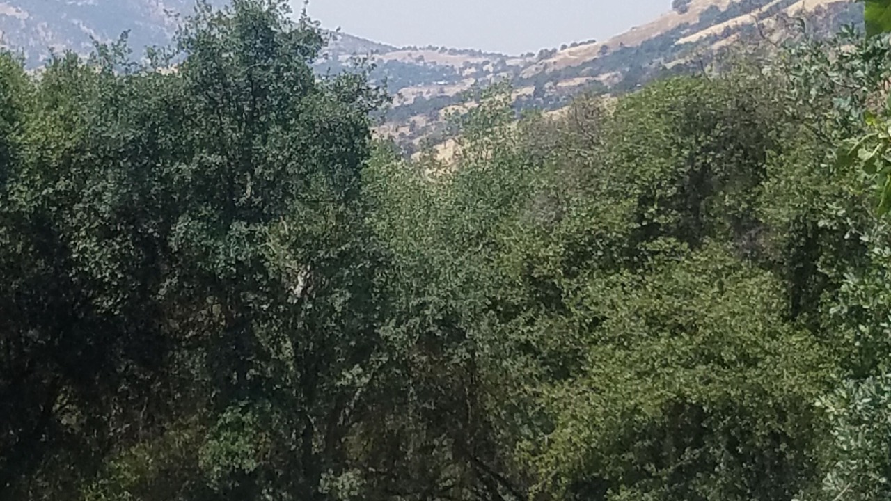 Photo of Others in Squaw Valley