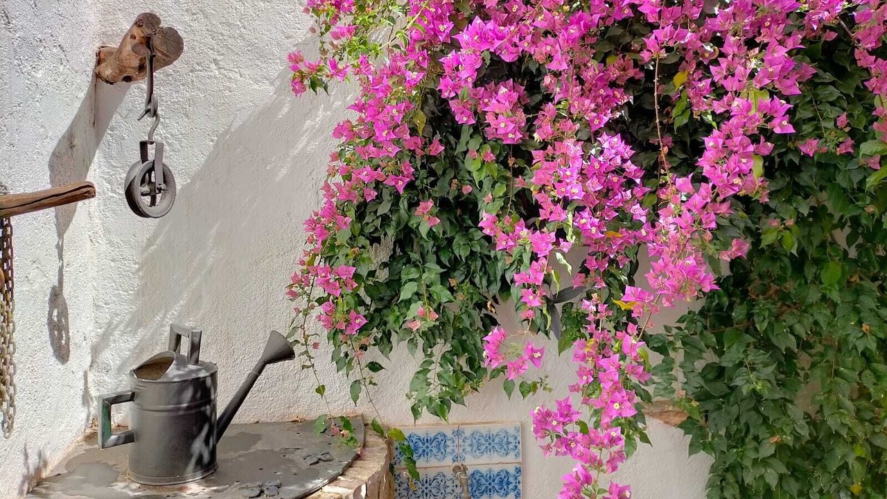 Photo of Outdoor in San Jorge