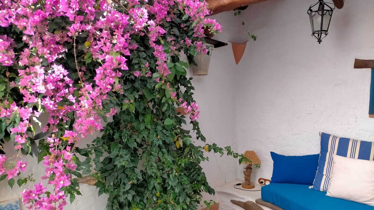 Photo of Outdoor in San Jorge