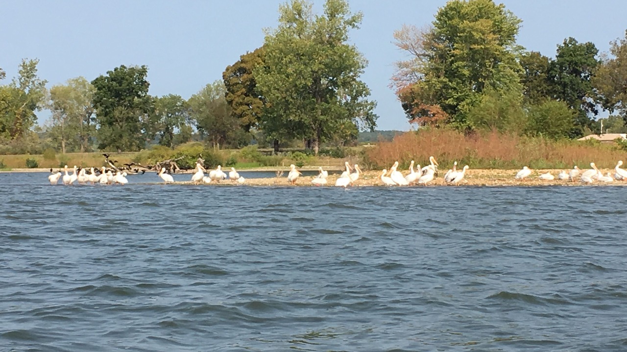 Photo of Outdoor in Afton