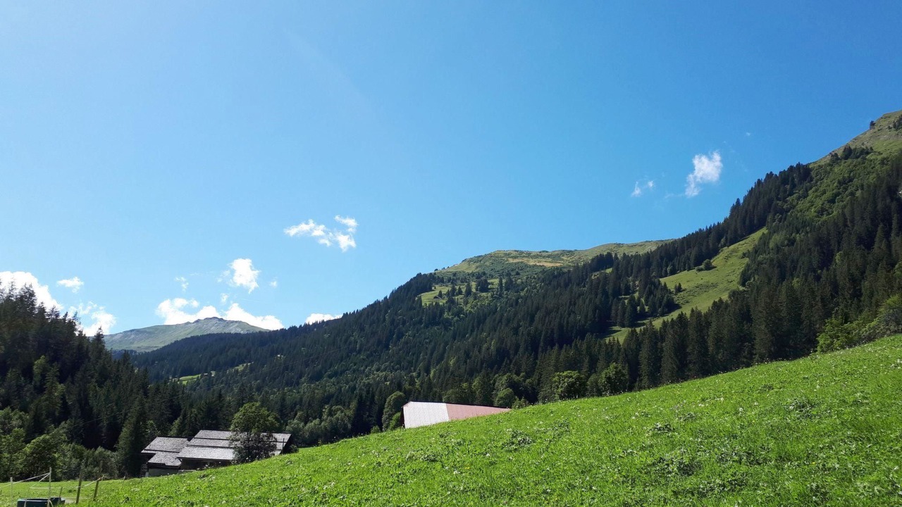 Photo of Others in Gsteig