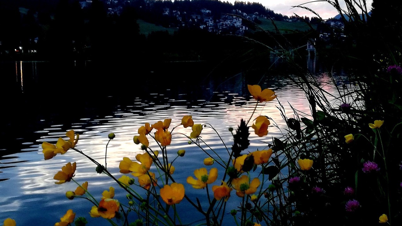 Photo of Outdoor in Lenzerheide