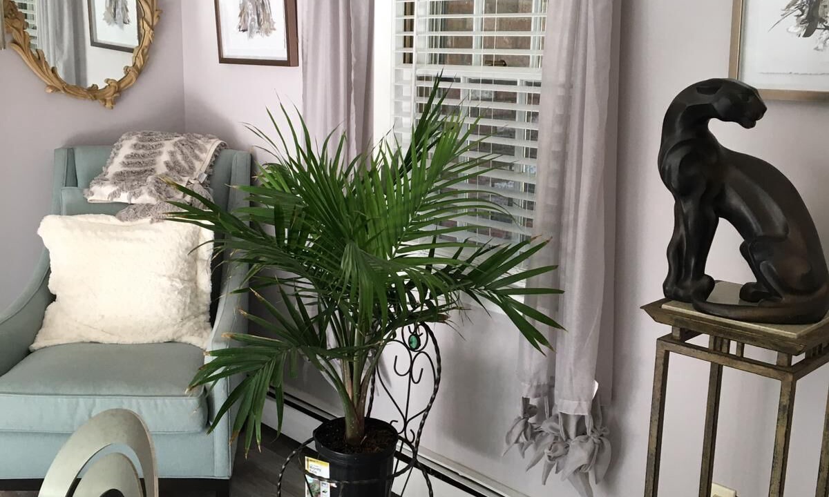 Photo of Others in Osterville