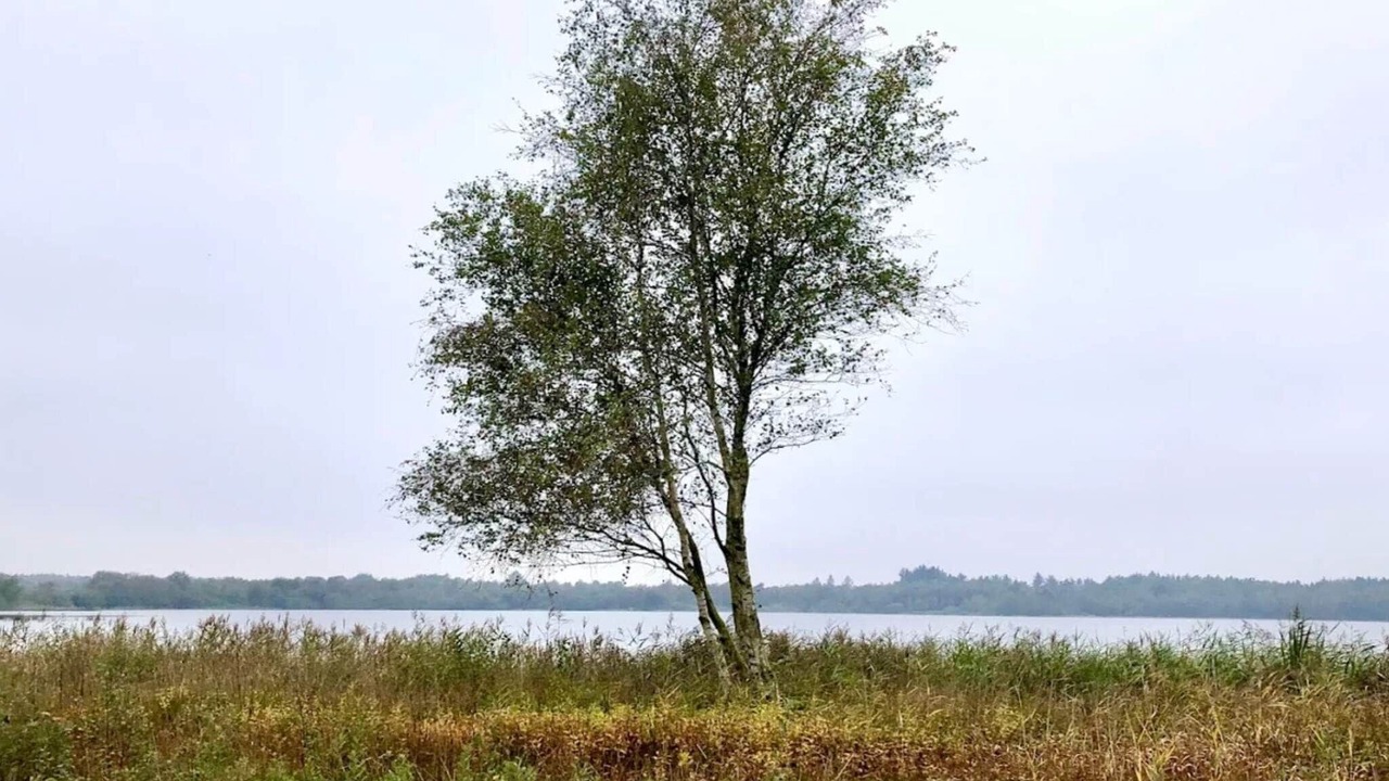 Photo of Others in Ansager