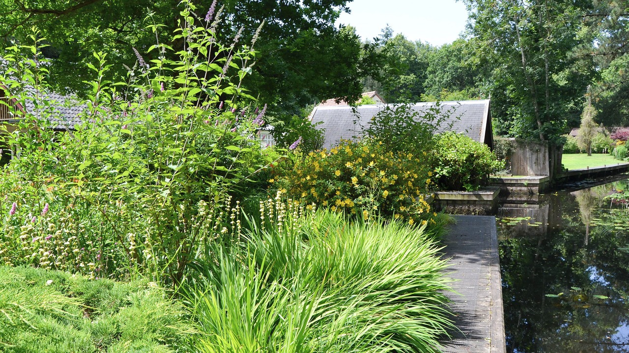 Photo of Outdoor in Wroxham