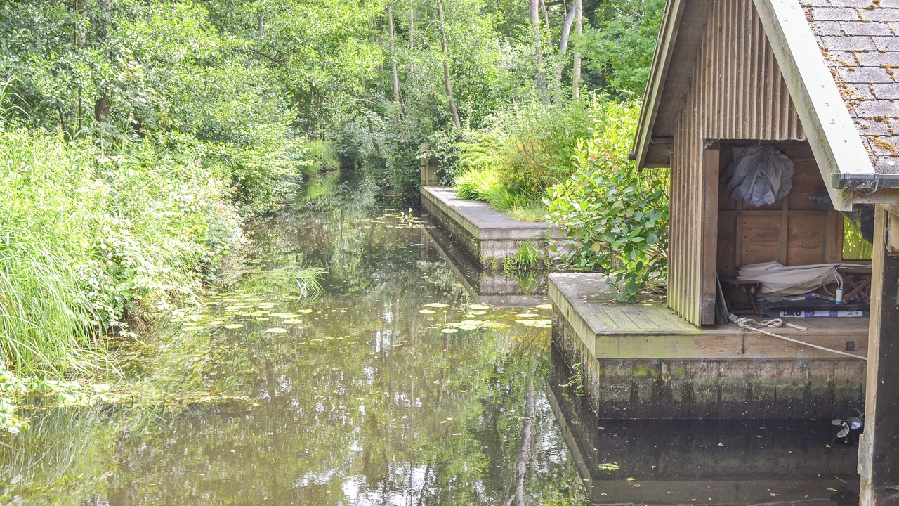 Photo of Outdoor in Wroxham