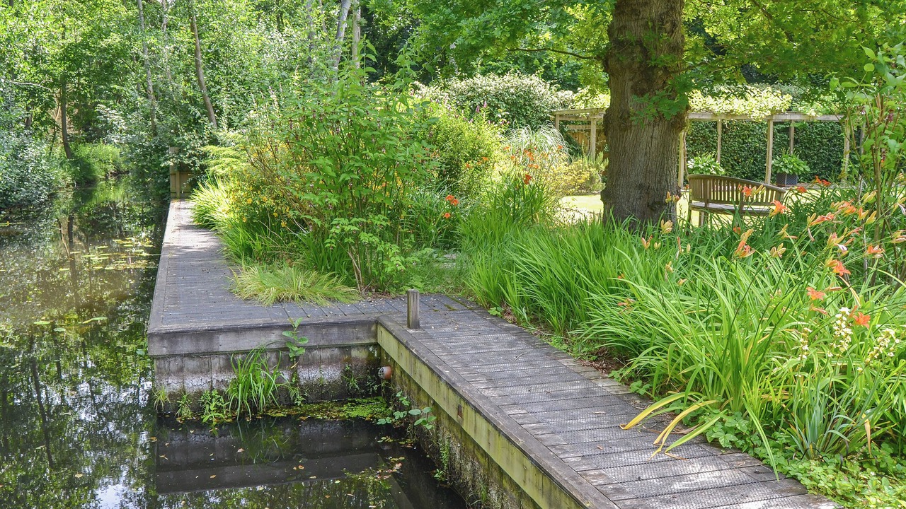 Photo of Outdoor in Wroxham