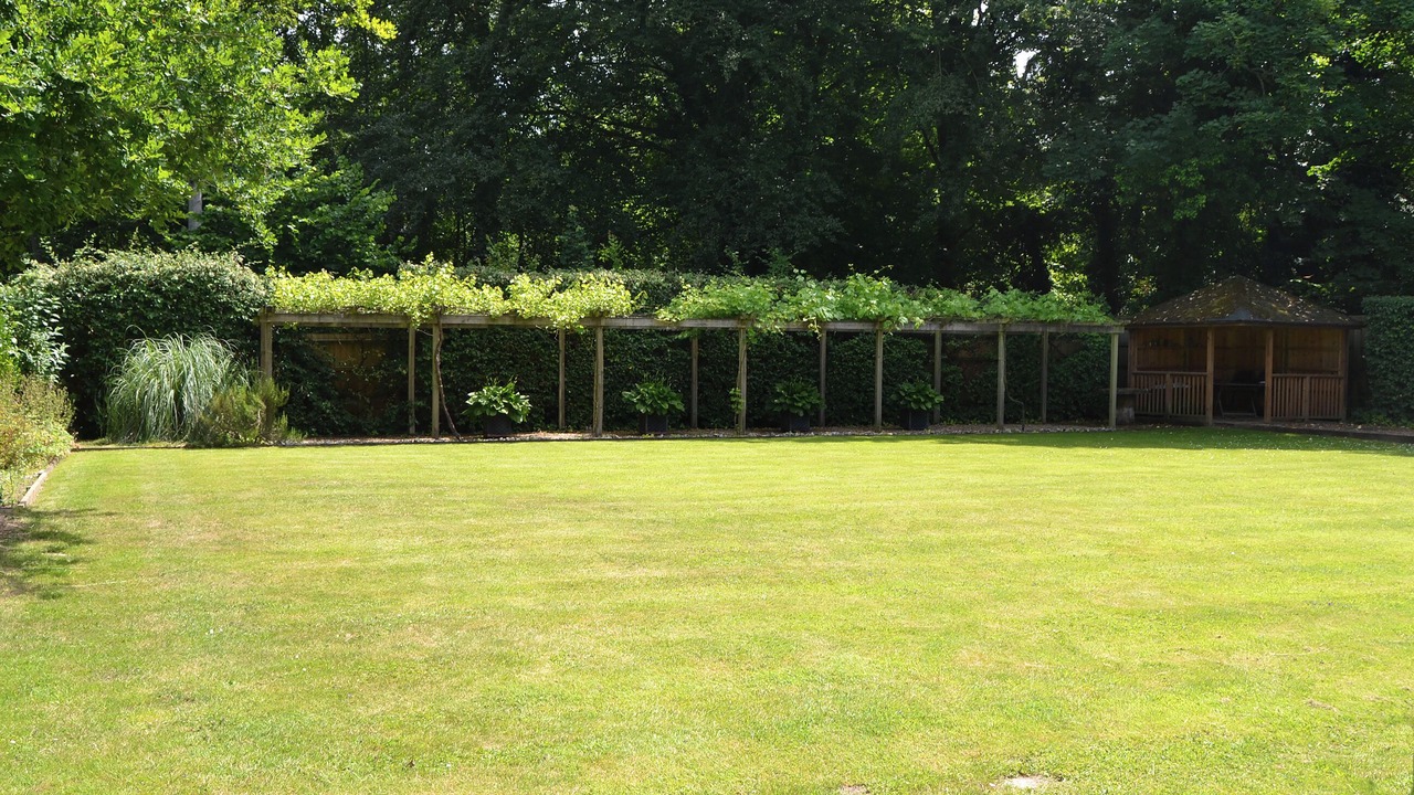 Photo of Outdoor in Wroxham