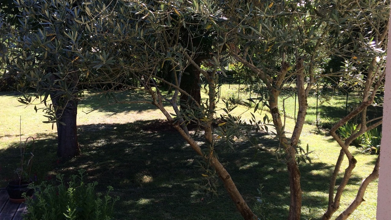 Photo of Outdoor in Laroque-Timbaut