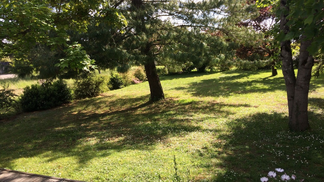 Photo of Outdoor in Laroque-Timbaut