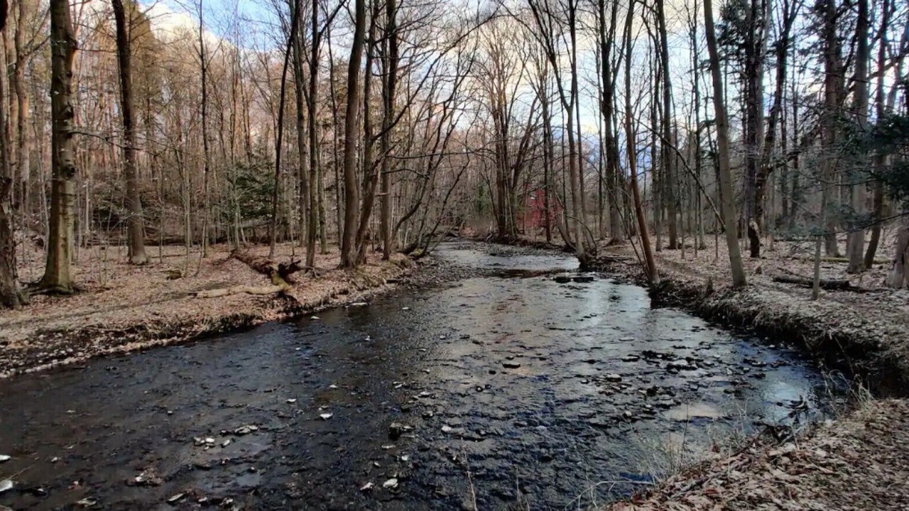 Photo of Others in Webster Crossing