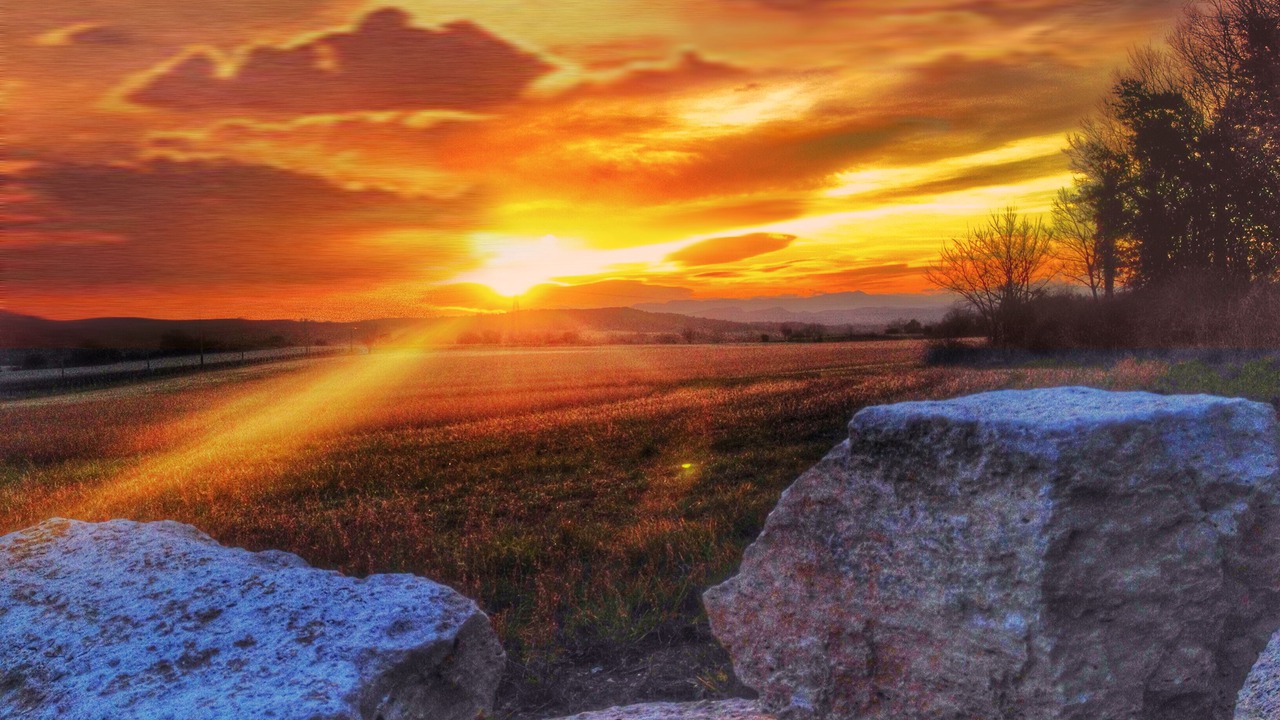 Photo of Others in Saint-Just-et-Vacquieres