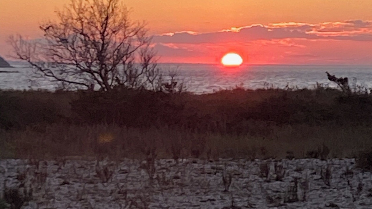 Photo of Others in Peconic