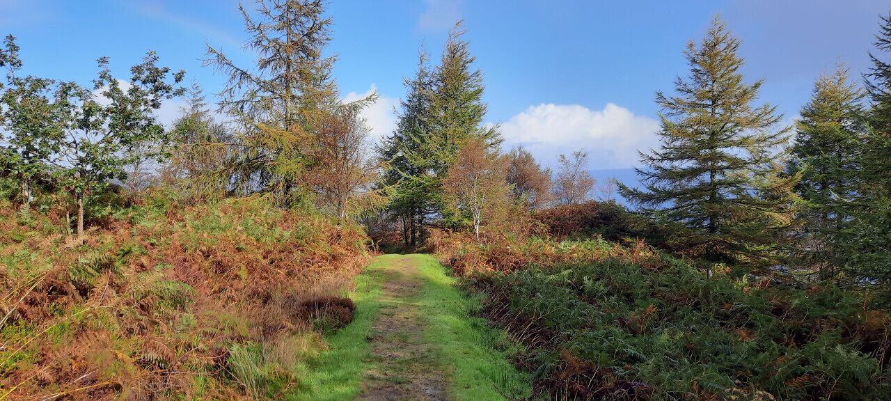 Photo of Others in Tarbert