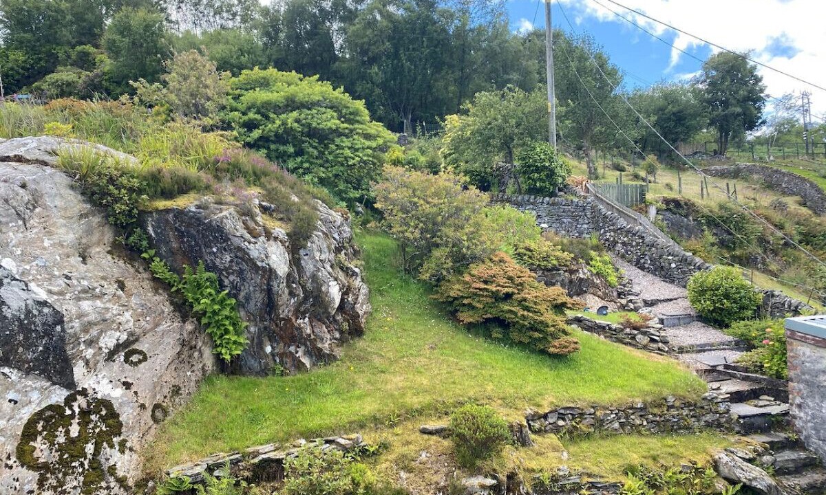 Photo of Others in Tarbert