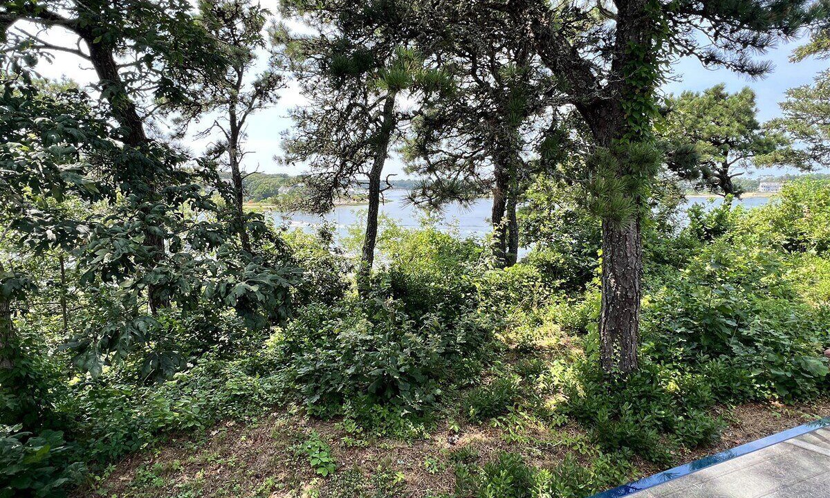 Photo of Outdoor in North Chatham