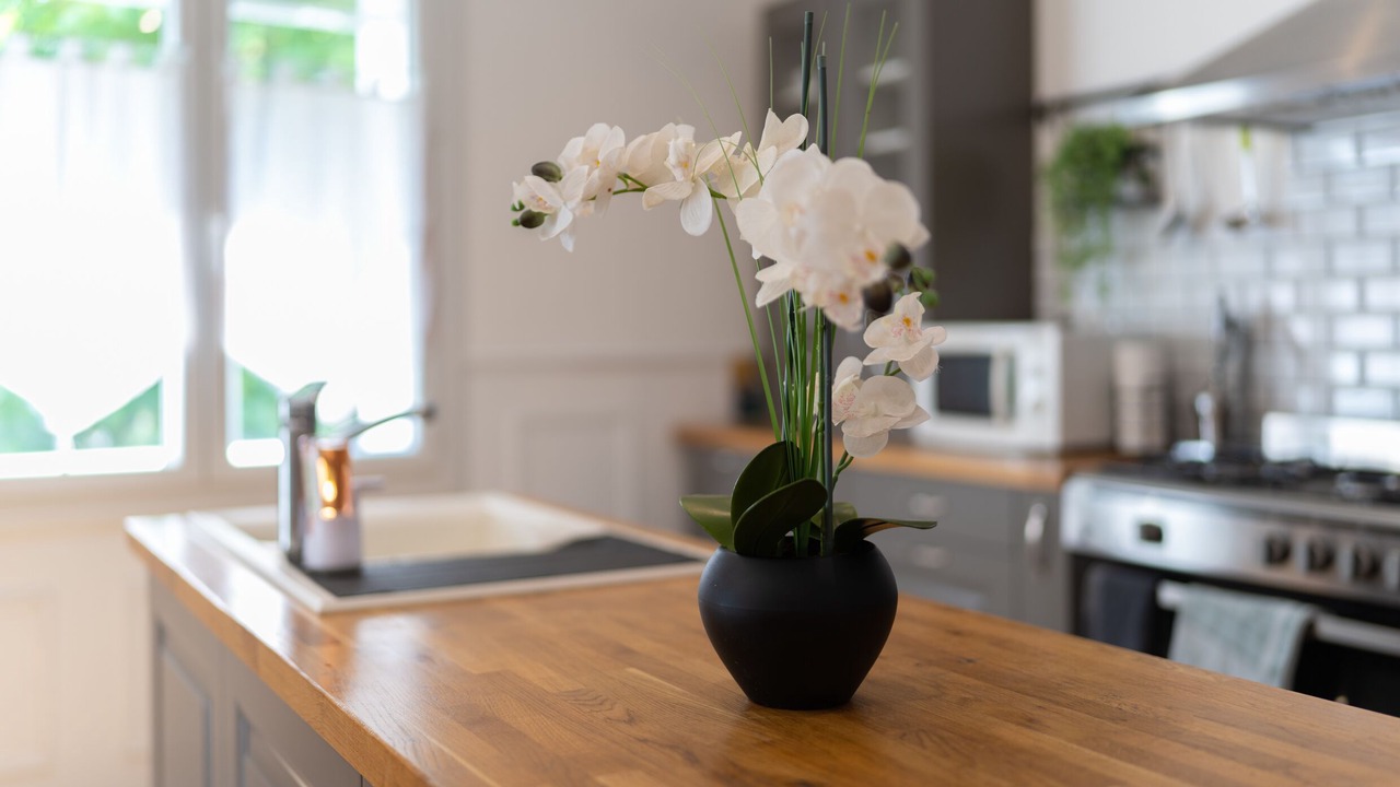 Photo of Kitchen in Portel-des-Corbieres